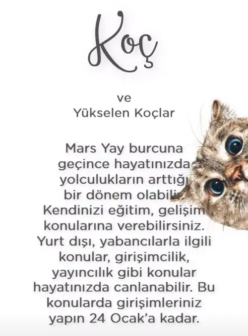 Screenshot_20211215-102019_Instagram.webp