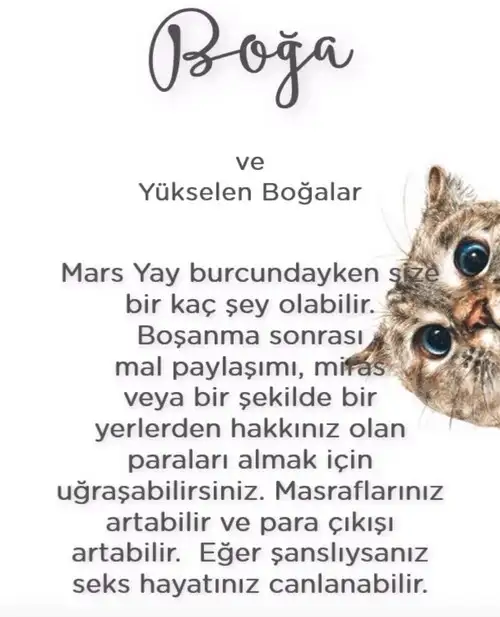 Screenshot_20211215-102023_Instagram.webp