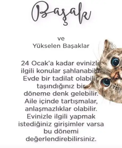 Screenshot_20211215-102043_Instagram.webp