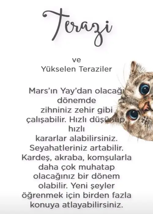 Screenshot_20211215-102048_Instagram.webp