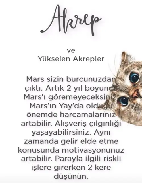 Screenshot_20211215-102053_Instagram.webp