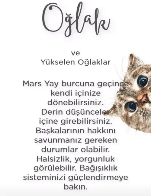 Screenshot_20211215-102108_Instagram.webp