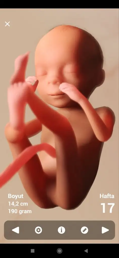 Screenshot_2022-02-04-01-17-17-963_com.hp.pregnancy.lite.webp
