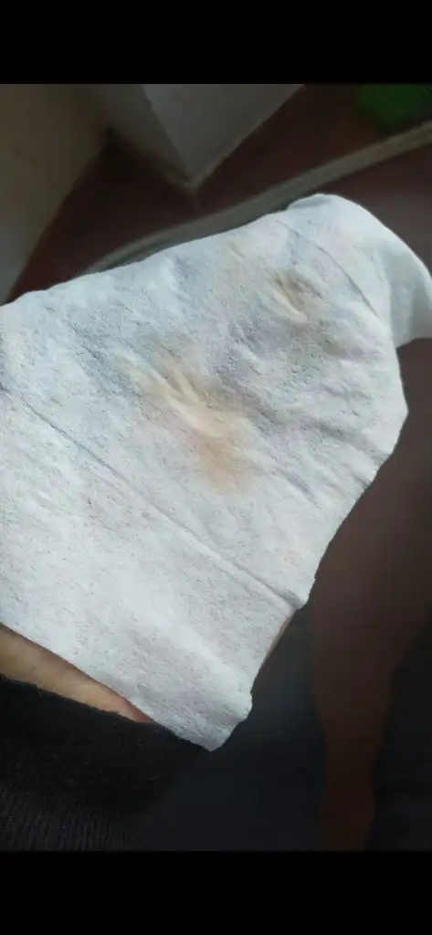 boşalma derleme porno