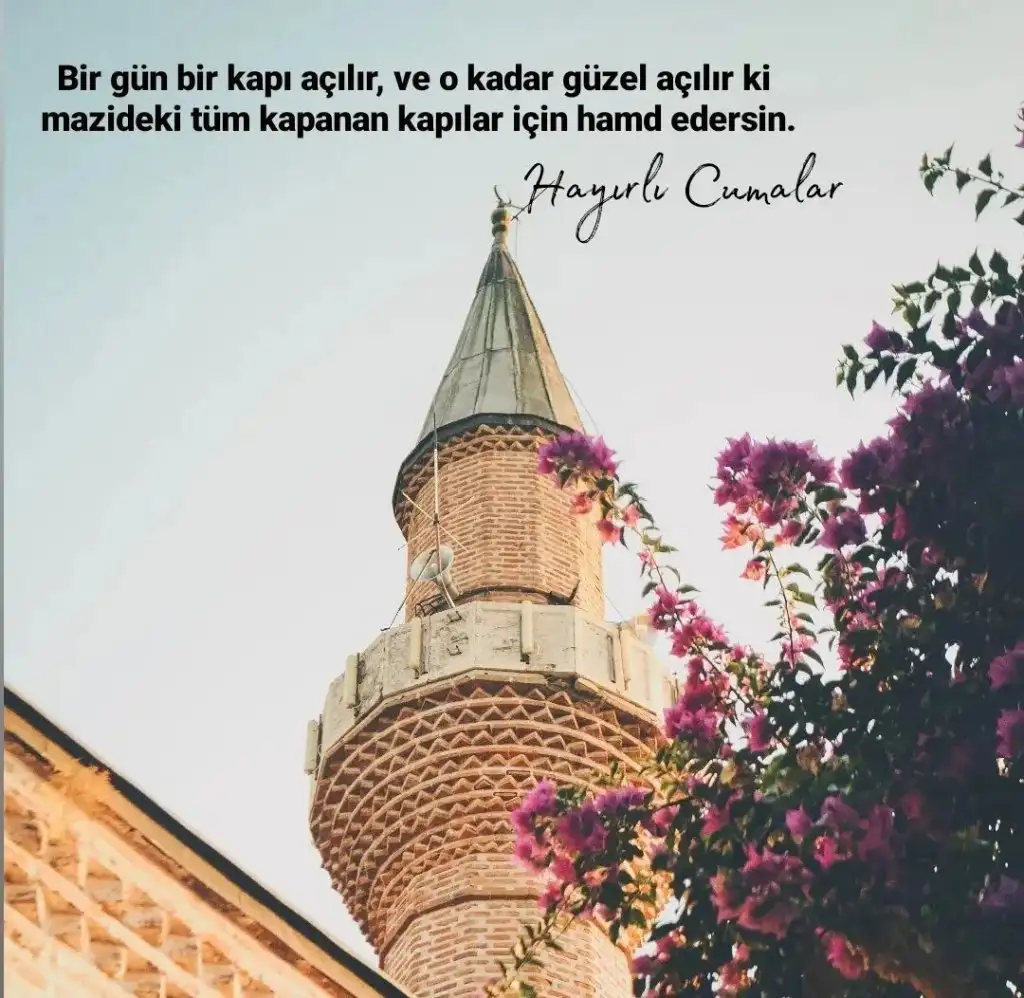 Screenshot_2022-07-15-11-10-37-21_1c337646f29875672b5a61192b9010f9.webp