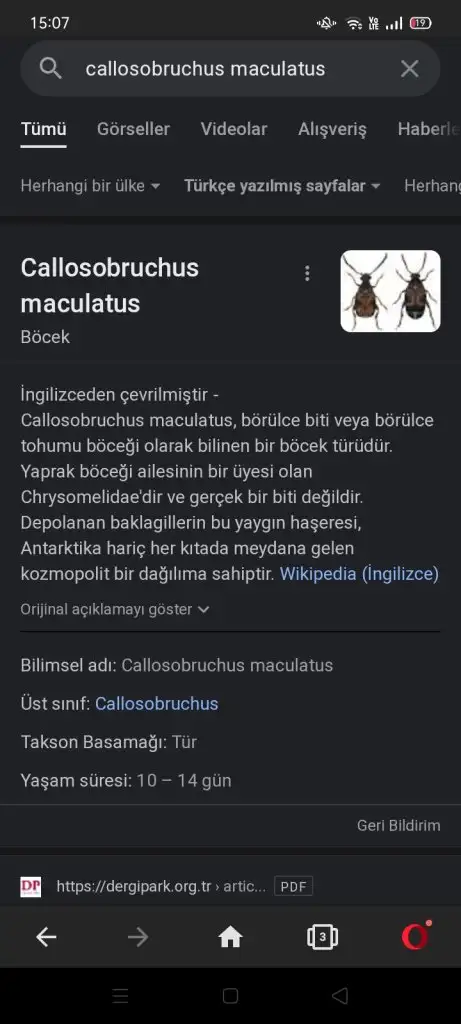 Screenshot_2022-08-27-15-07-31-93_4641ebc0df1485bf6b47ebd018b5ee76.webp