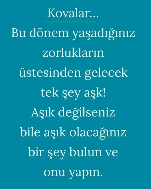 Screenshot_20220202-205413_Instagram.webp