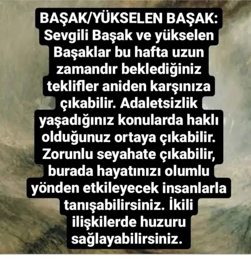 Screenshot_20220206-222432_Instagram.webp