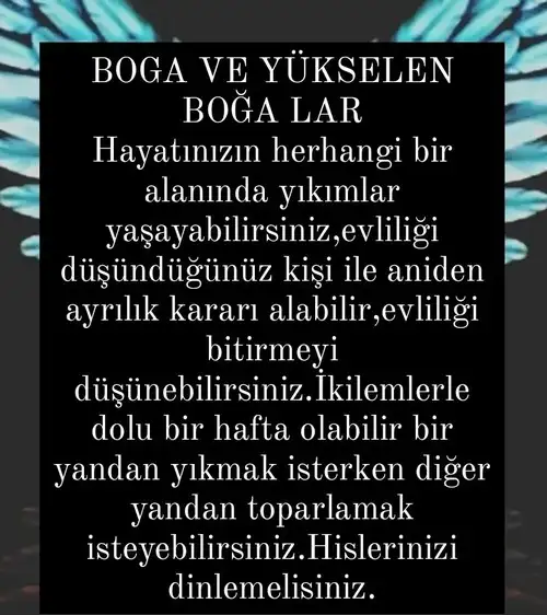 Screenshot_20220207-210822_Instagram.webp