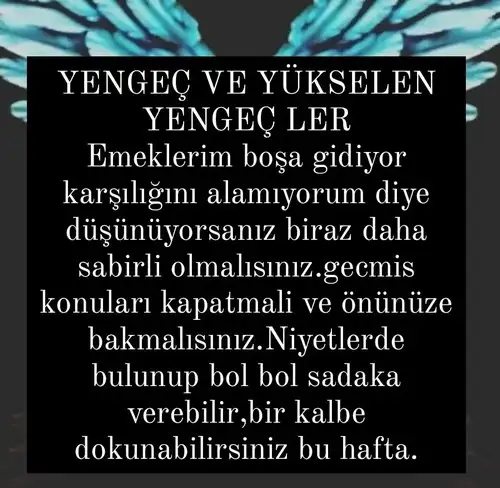 Screenshot_20220207-210826_Instagram.webp