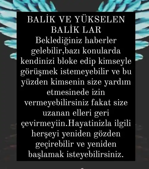 Screenshot_20220207-210849_Instagram.webp