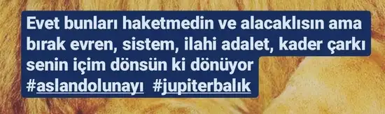 Screenshot_20220217-193909_Instagram.webp