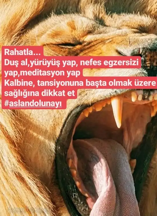 Screenshot_20220217-193916_Instagram.webp