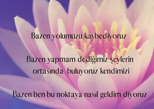 Screenshot_20220220-164649_Instagram.webp