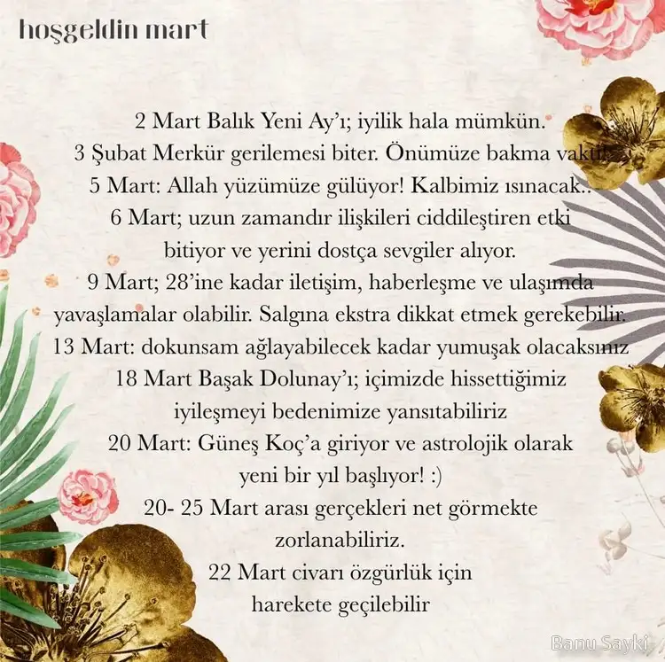 Screenshot_20220301-110959_Instagram.webp