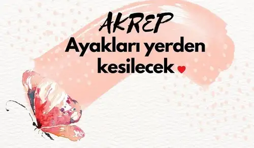 Screenshot_20220301-111239_Instagram.webp