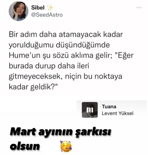 Screenshot_20220301-202313_Instagram.webp