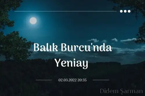 Screenshot_20220302-213346_Instagram.webp
