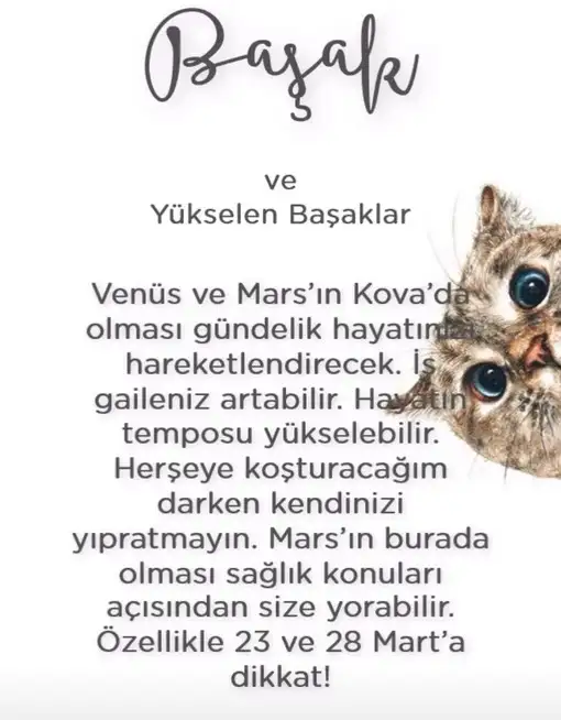 Screenshot_20220305-112208_Instagram.webp