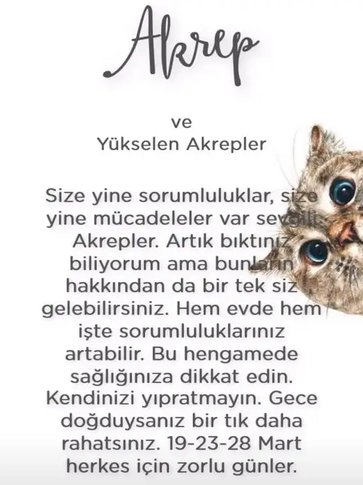 Screenshot_20220305-112218_Instagram.webp