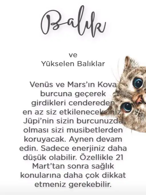Screenshot_20220305-112239_Instagram.webp
