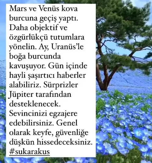 Screenshot_20220308-001235_Instagram.webp