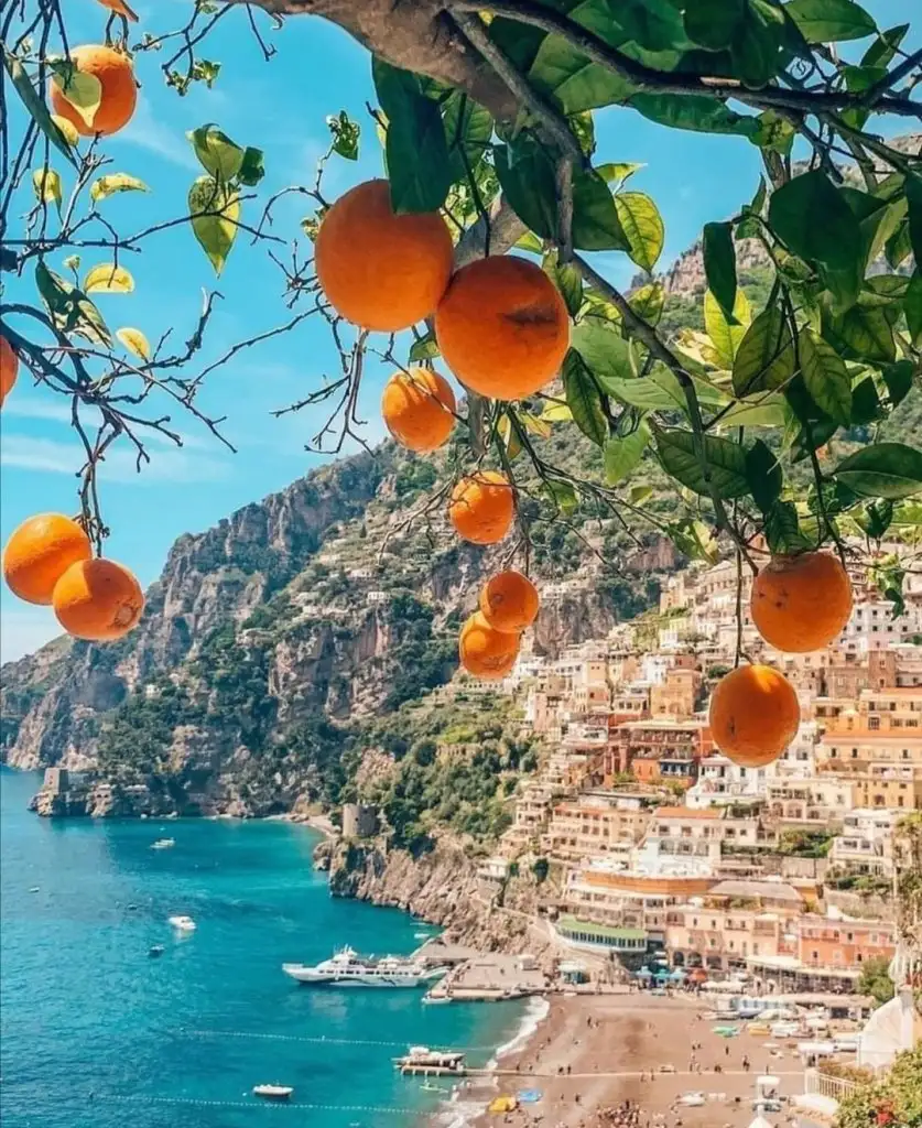 Screenshot_20220309-000017_Instagram.webp