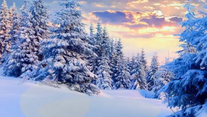 Screenshot_20220310-093719~2.webp