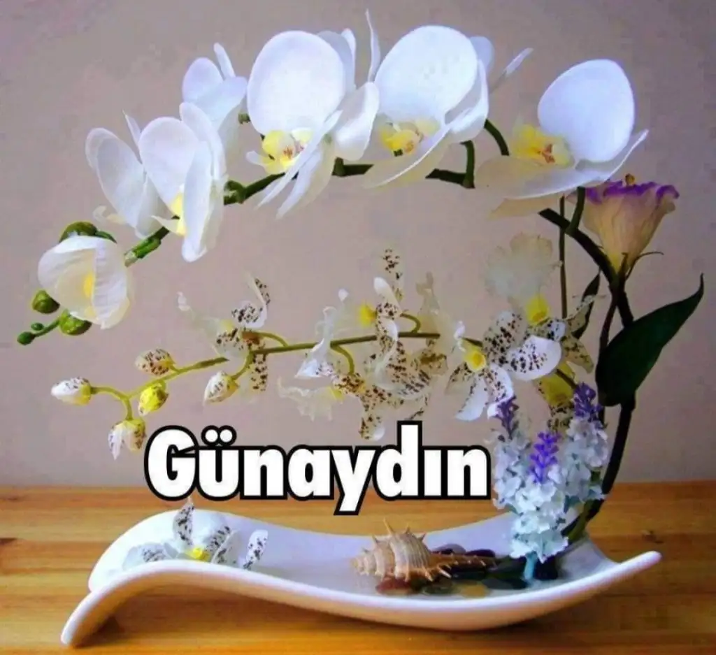 Screenshot_20220315-085257_WhatsApp.webp