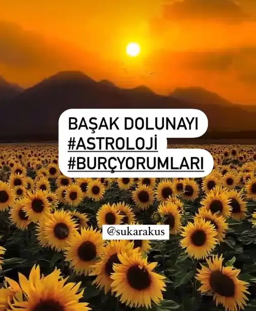Screenshot_20220317-195622_Instagram.webp