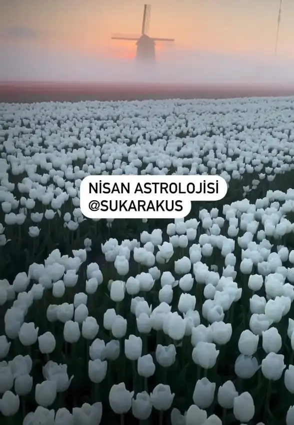 Screenshot_20220321-092927_Instagram.webp