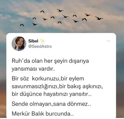 Screenshot_20220324-133605_Instagram.webp