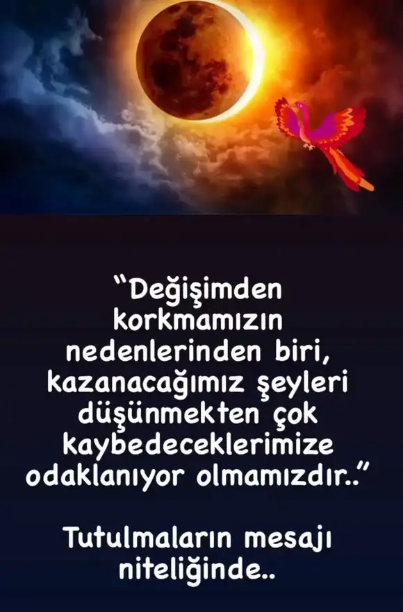 Screenshot_20220324-232408_Instagram.webp
