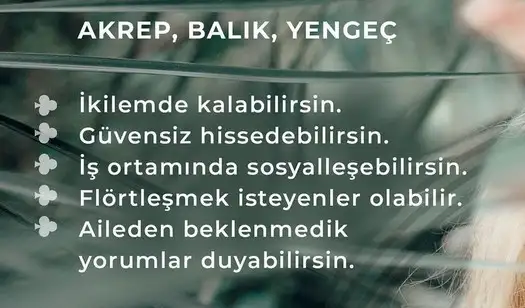 Screenshot_20220328-203533_Instagram.webp