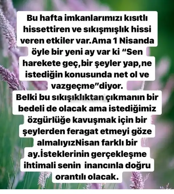 Screenshot_20220328-204516_Instagram.webp