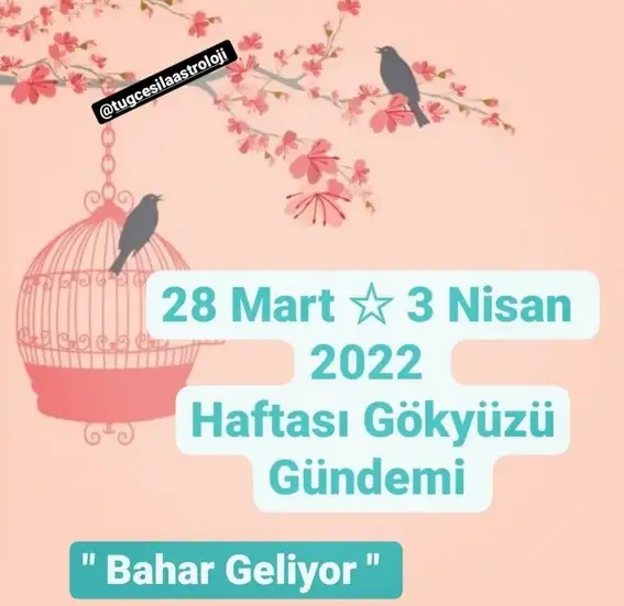 Screenshot_20220329-092507_Instagram.webp