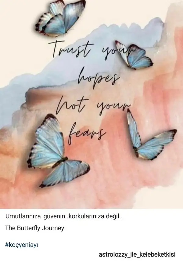 Screenshot_20220401-142100_Instagram.webp
