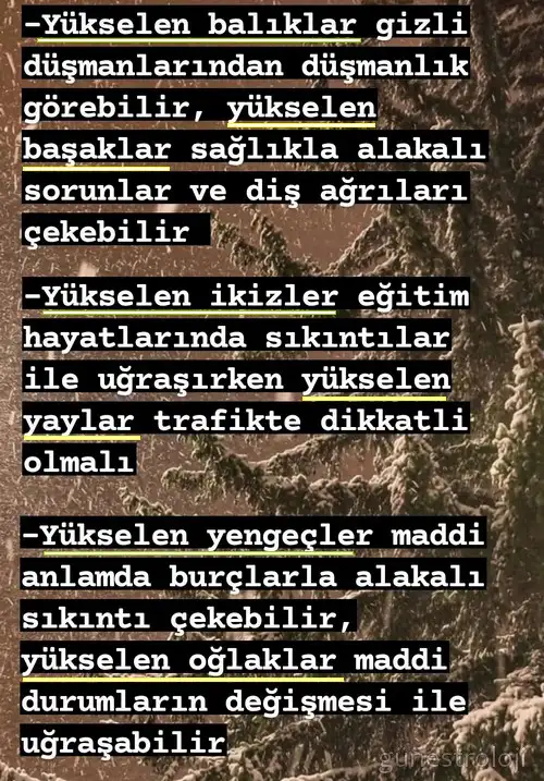 Screenshot_20220404-172309_Instagram.webp