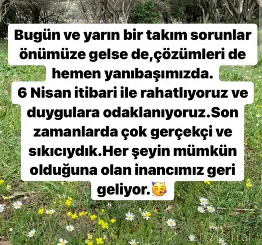 Screenshot_20220404-174014_Instagram.webp
