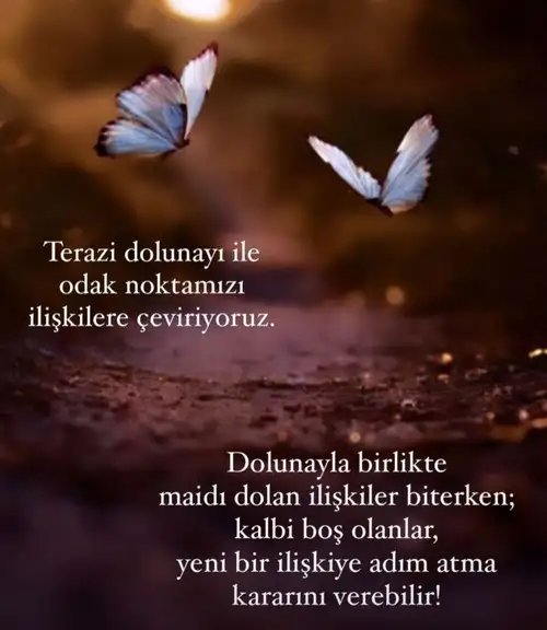 Screenshot_20220408-214216_Instagram.webp