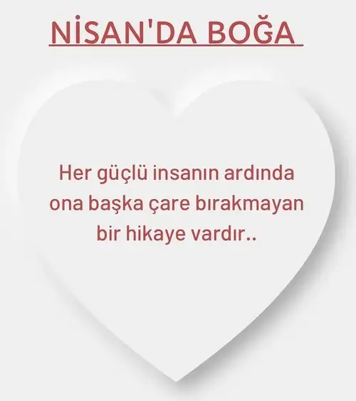 Screenshot_20220410-123629_Instagram.webp