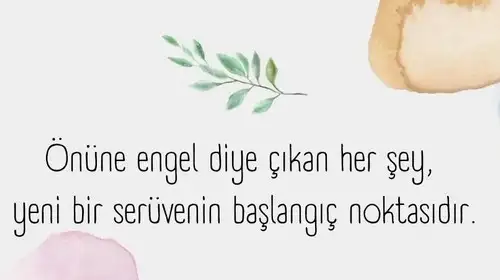 Screenshot_20220413-134303_Instagram.webp