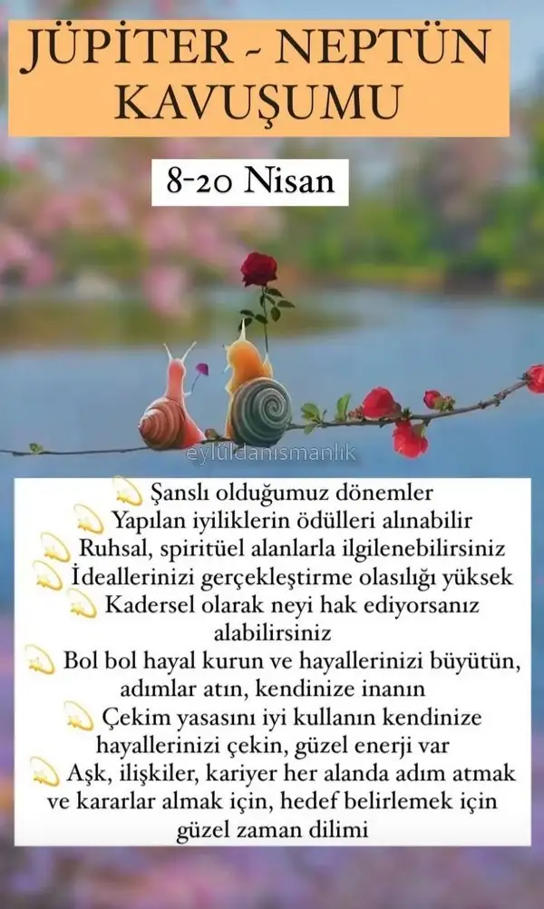 Screenshot_20220413-192359_Instagram.webp