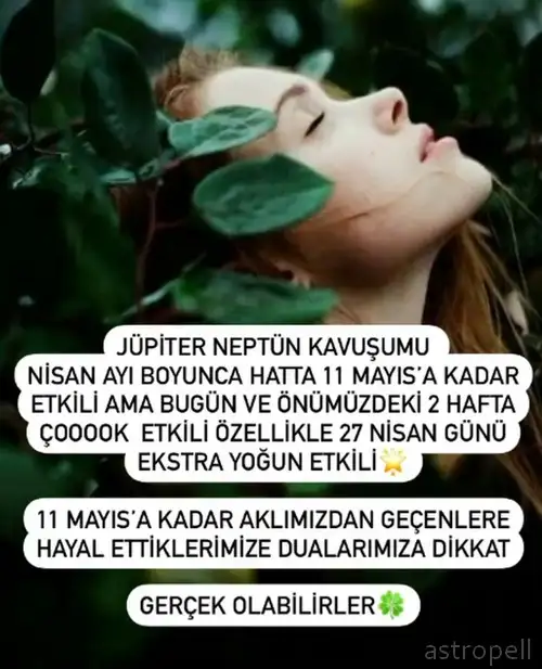 Screenshot_20220413-192845_Instagram.webp