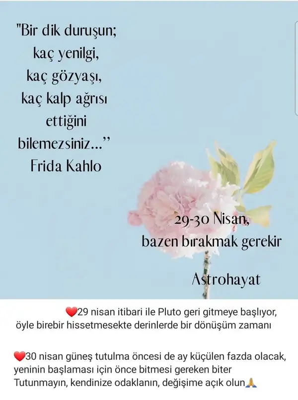 Screenshot_20220428-160839_Instagram.webp