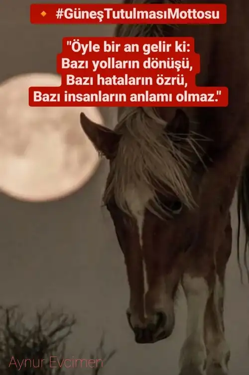 Screenshot_20220430-193010_Instagram.webp