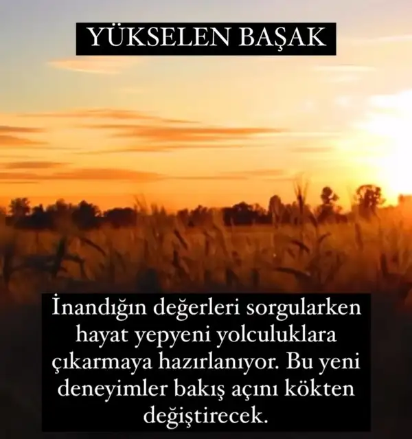 Screenshot_20220430-224437_Instagram.webp