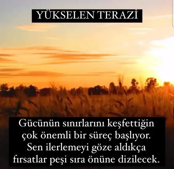 Screenshot_20220430-224440_Instagram.webp