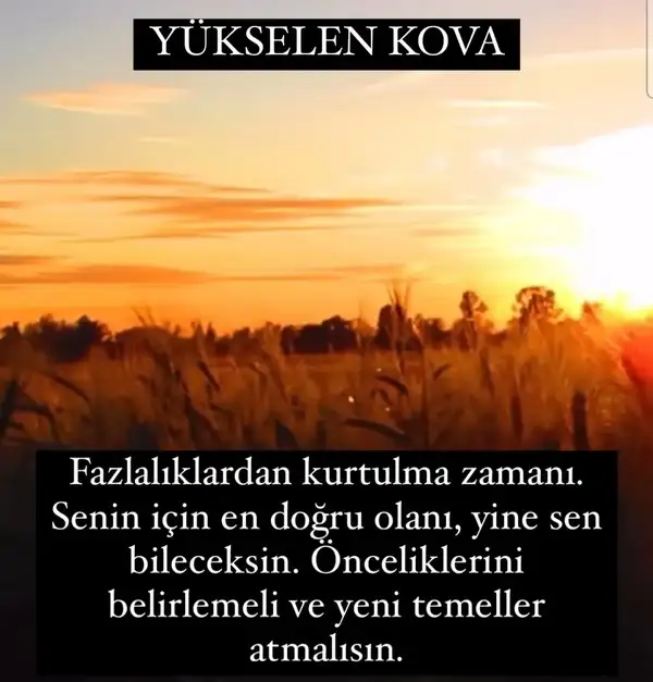 Screenshot_20220430-224453_Instagram.webp