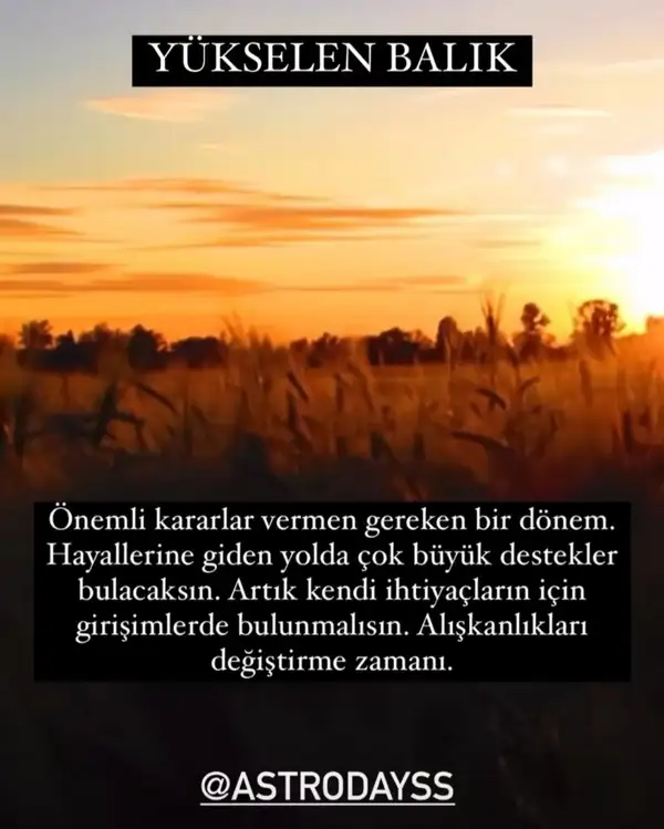 Screenshot_20220430-224458_Instagram.webp